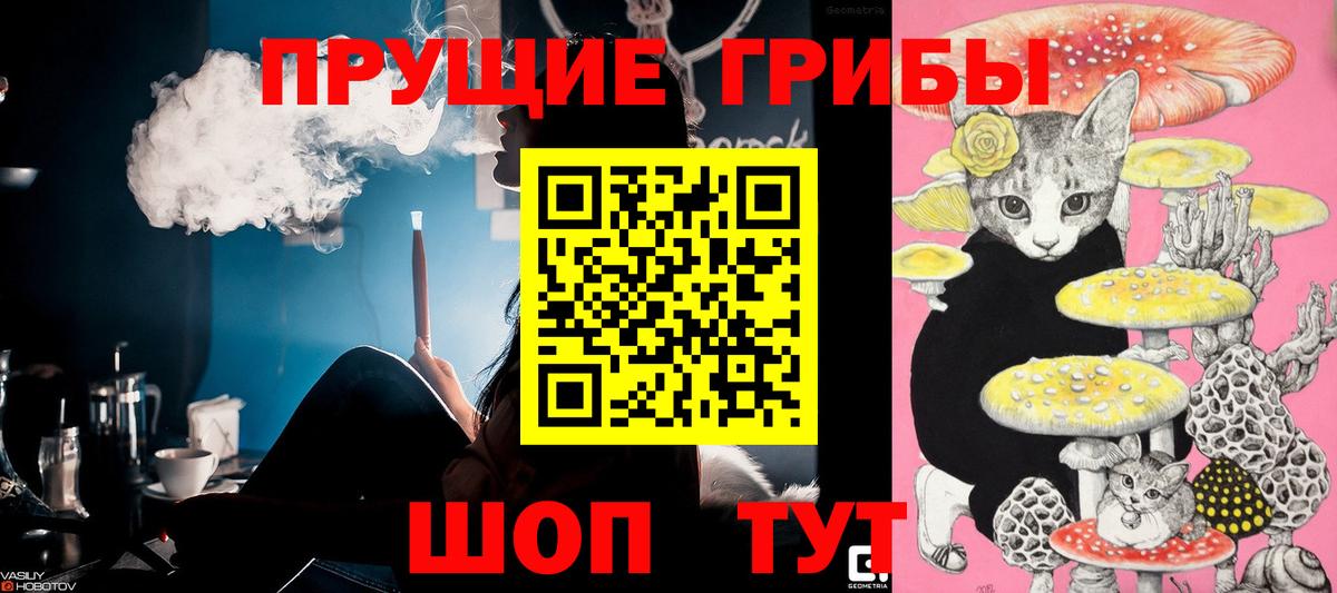 Псилоцибиновые грибы GOLDEN TEACHER Королёв