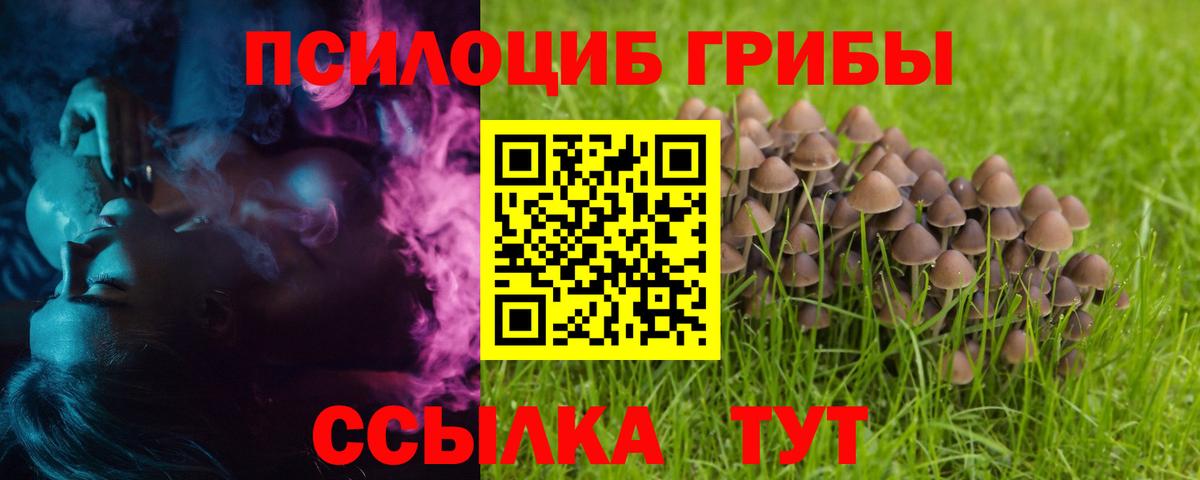Псилоцибиновые грибы прущие грибы  где купить наркоту  Королёв  Вход с VPN 
